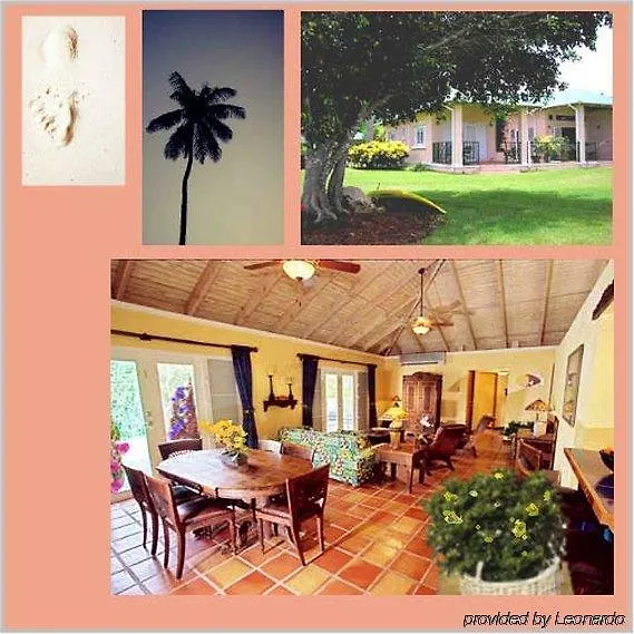Villa Montana Beach Resort Isabela Puerto Rico